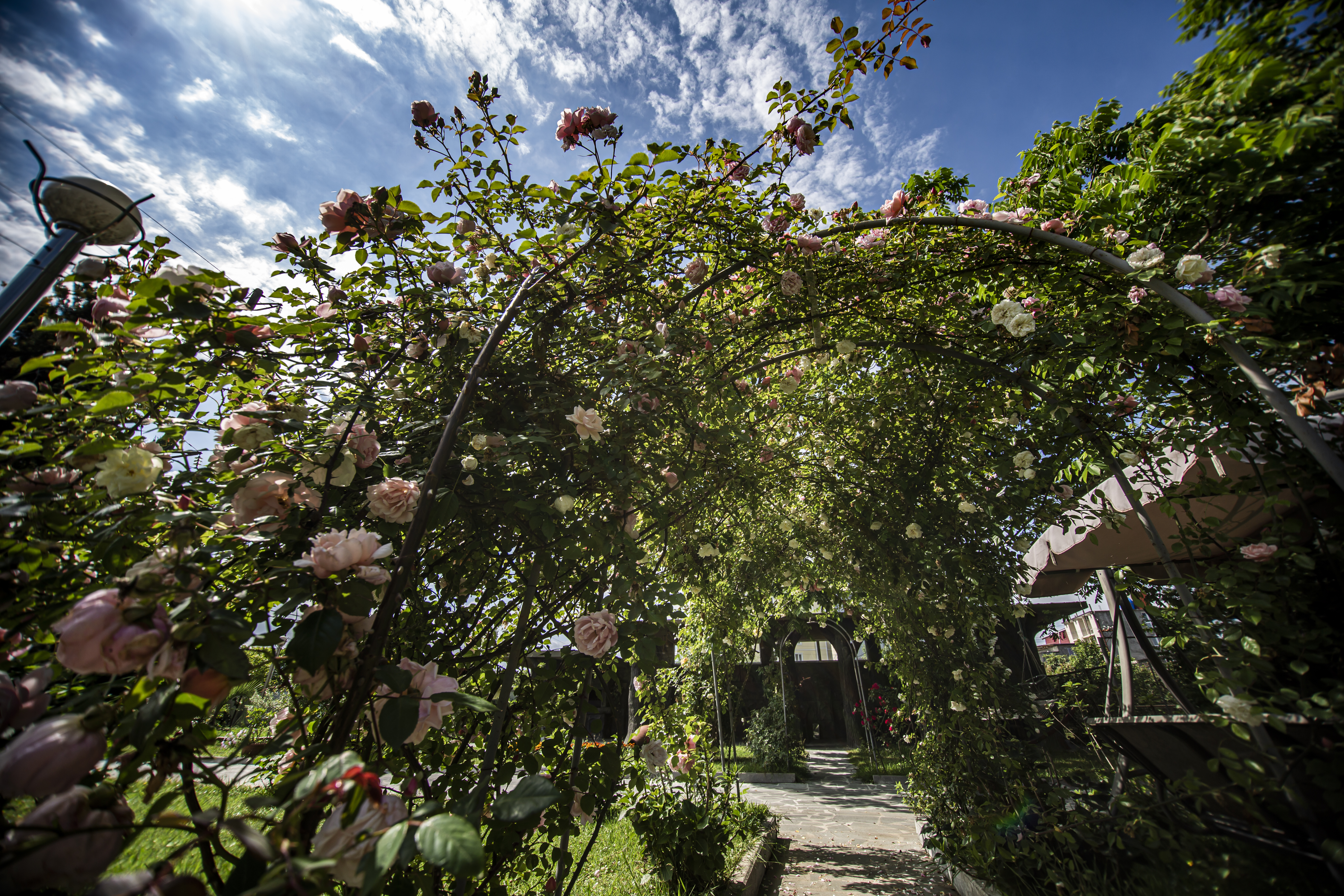 Фото Chveni Ezo Boutique Hotel