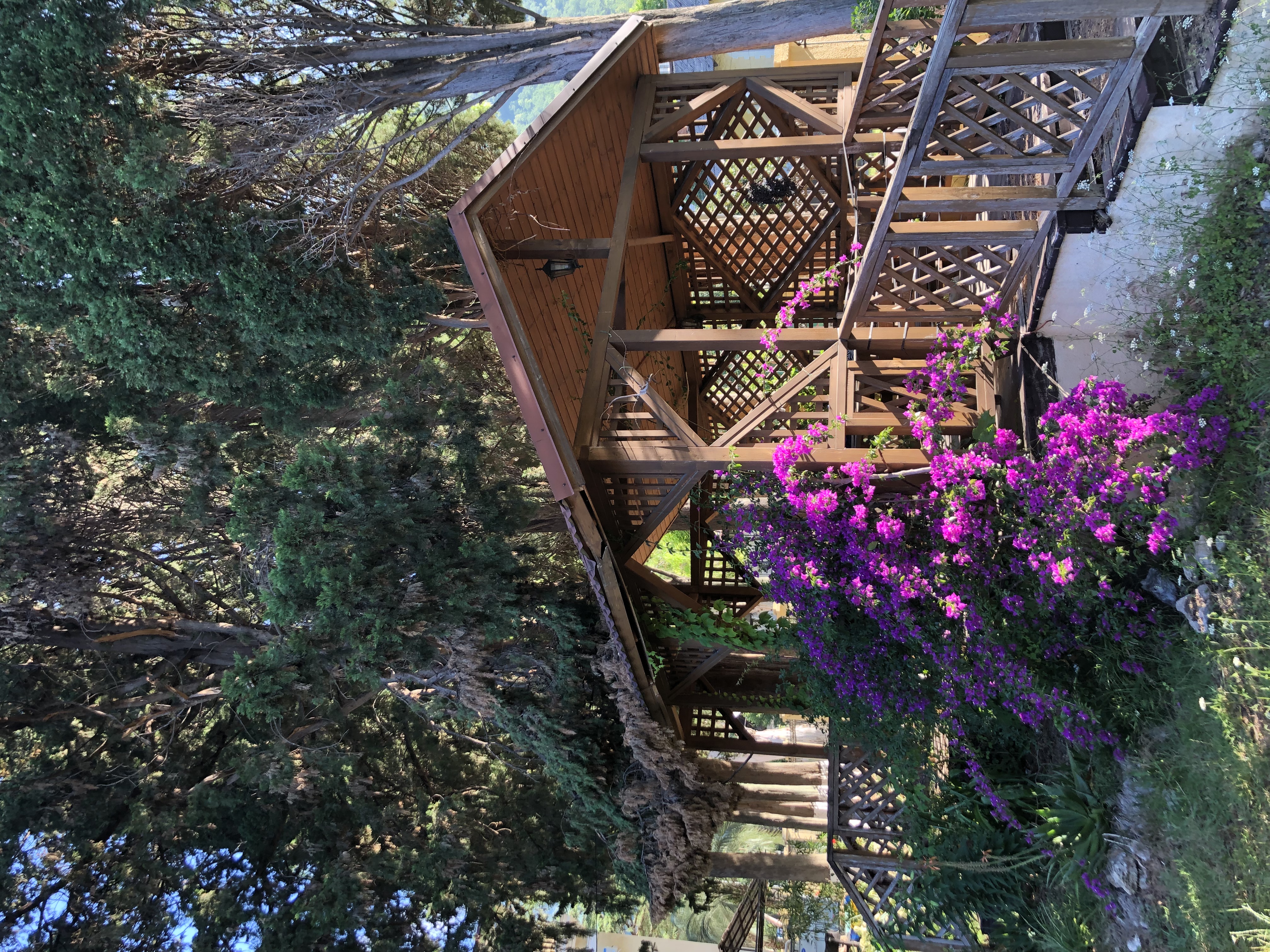 Фото Лазурный берег