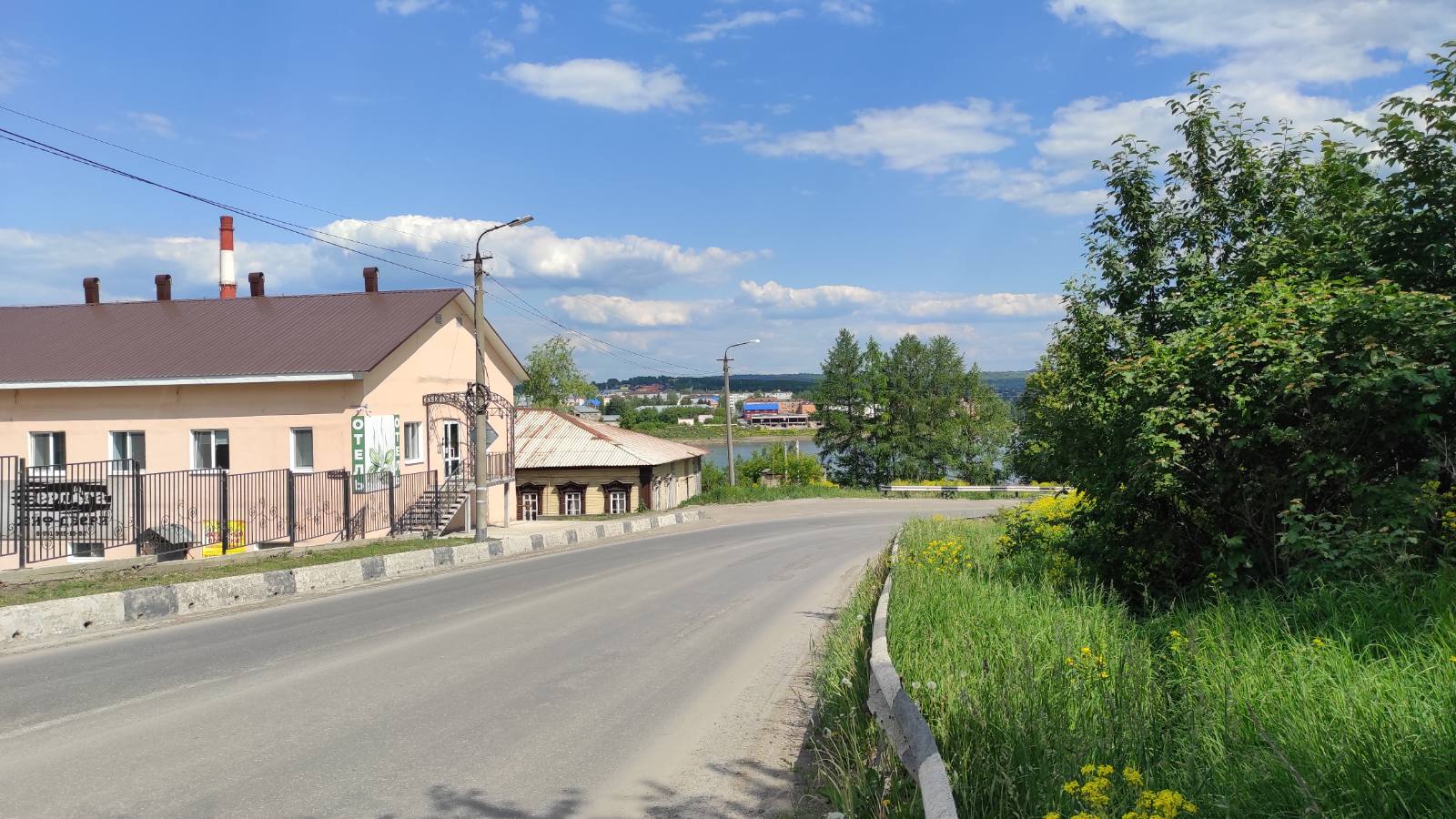 Фото Подорожник