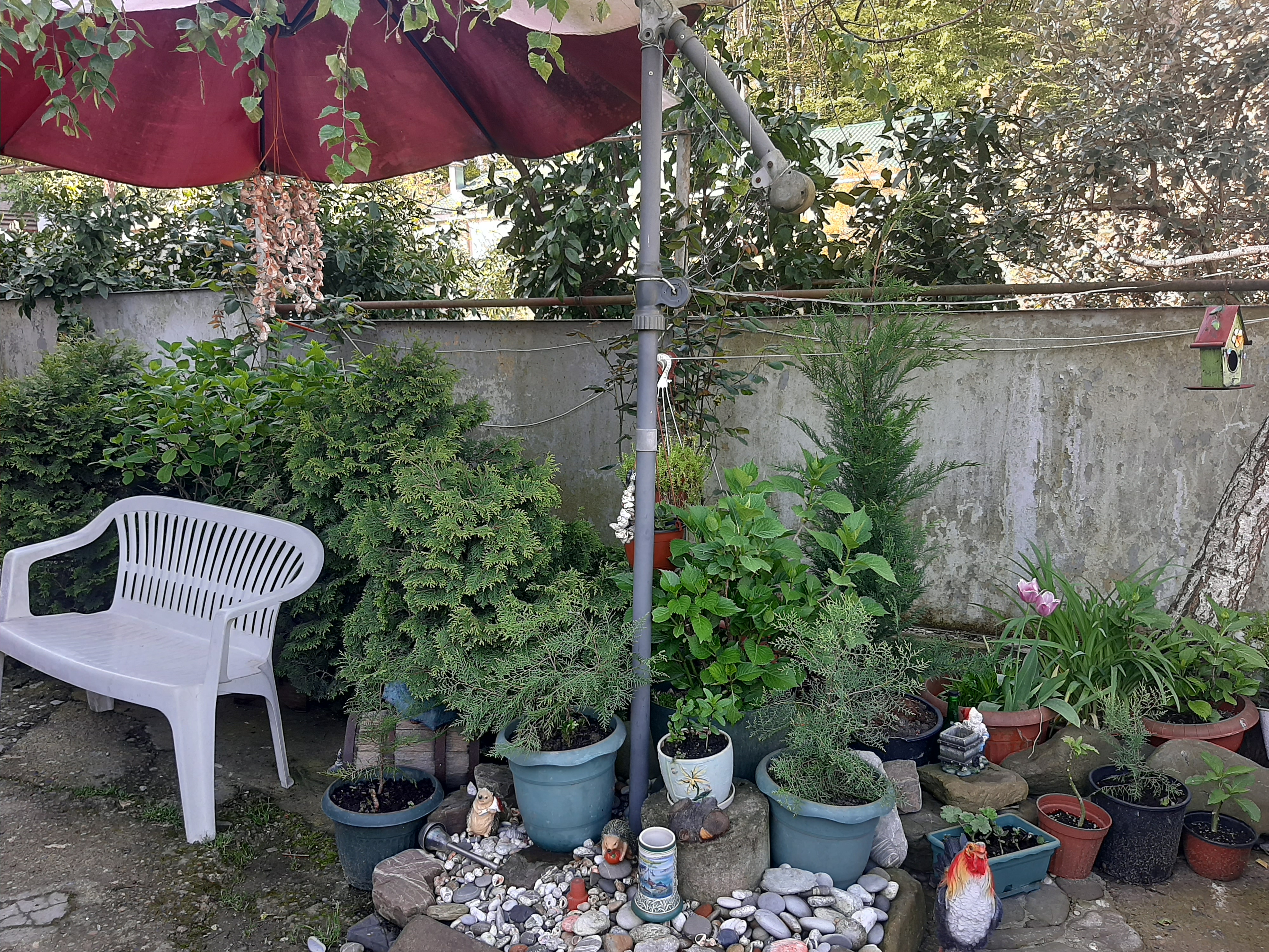 Фото Тихий дворик