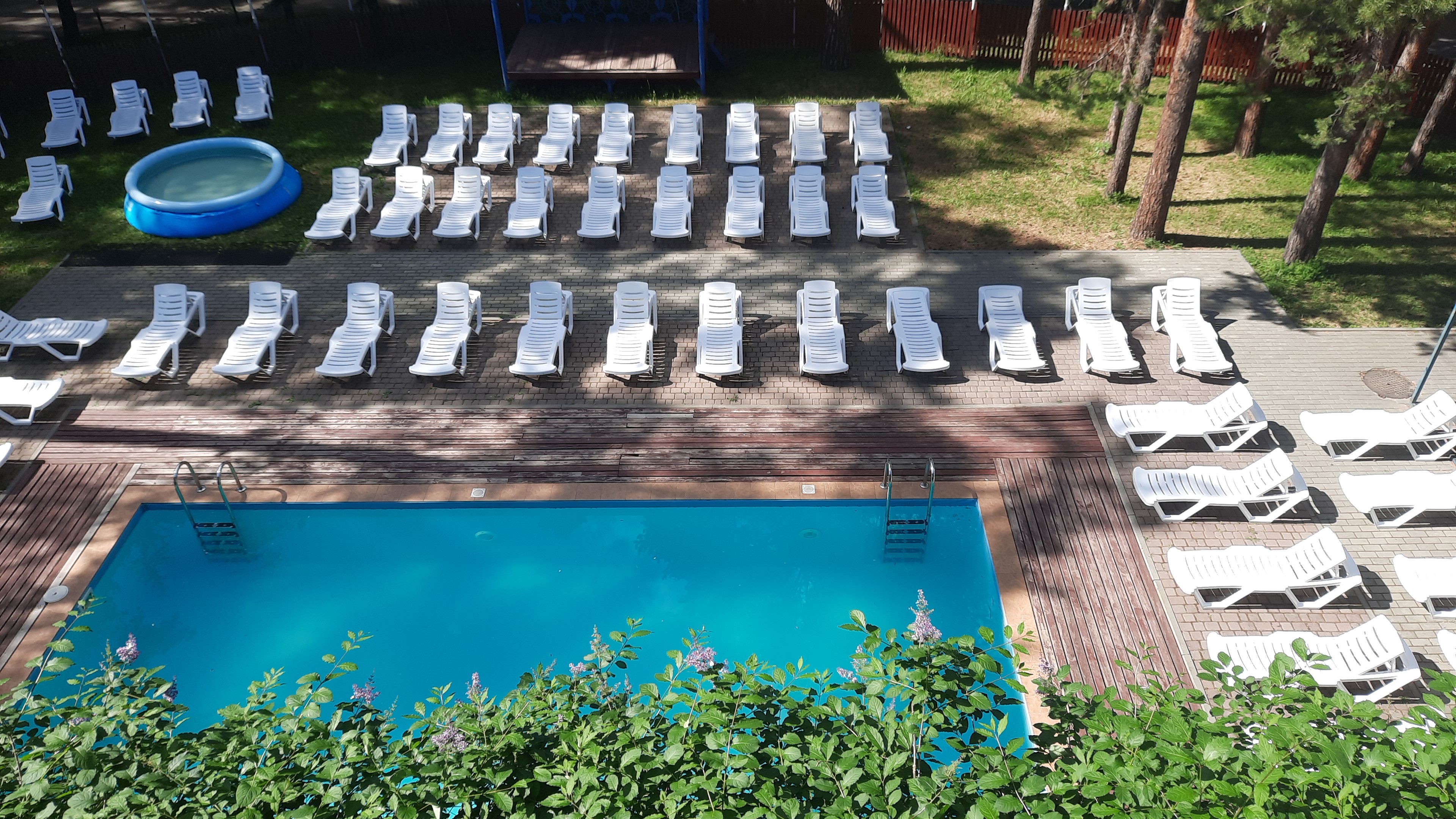 Фото Лесные дали