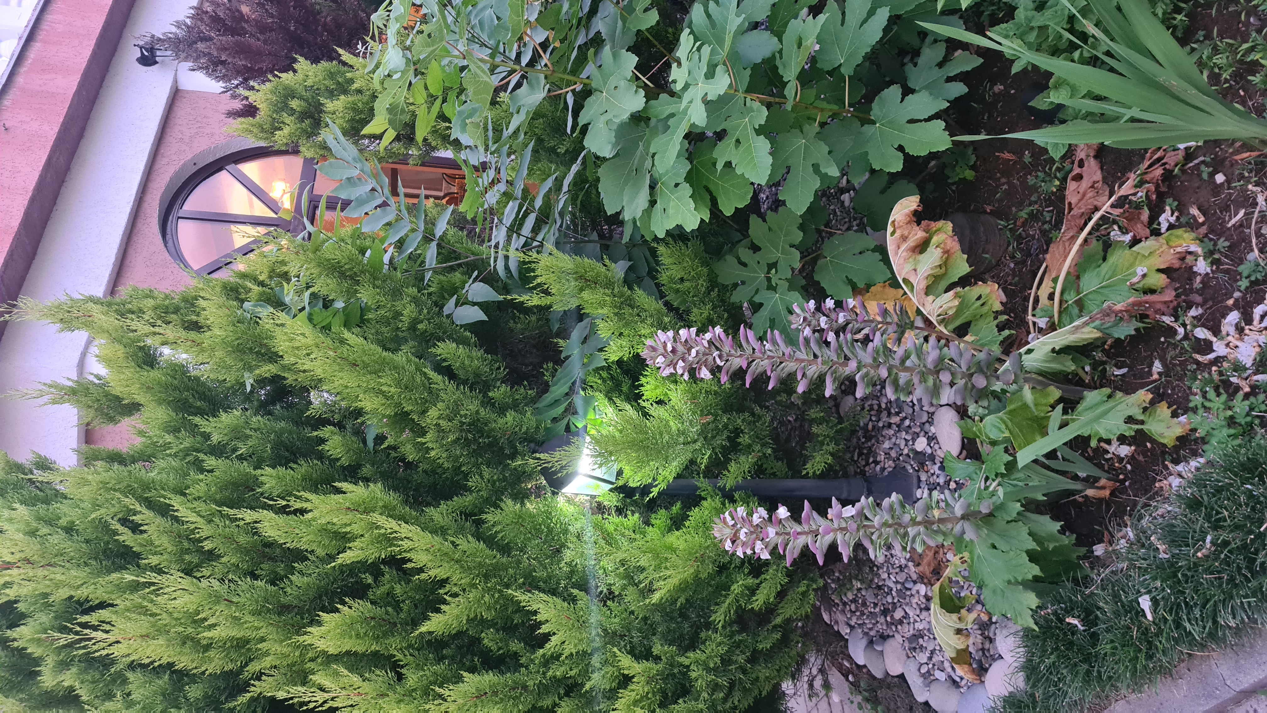 Фото Дени Дельмар