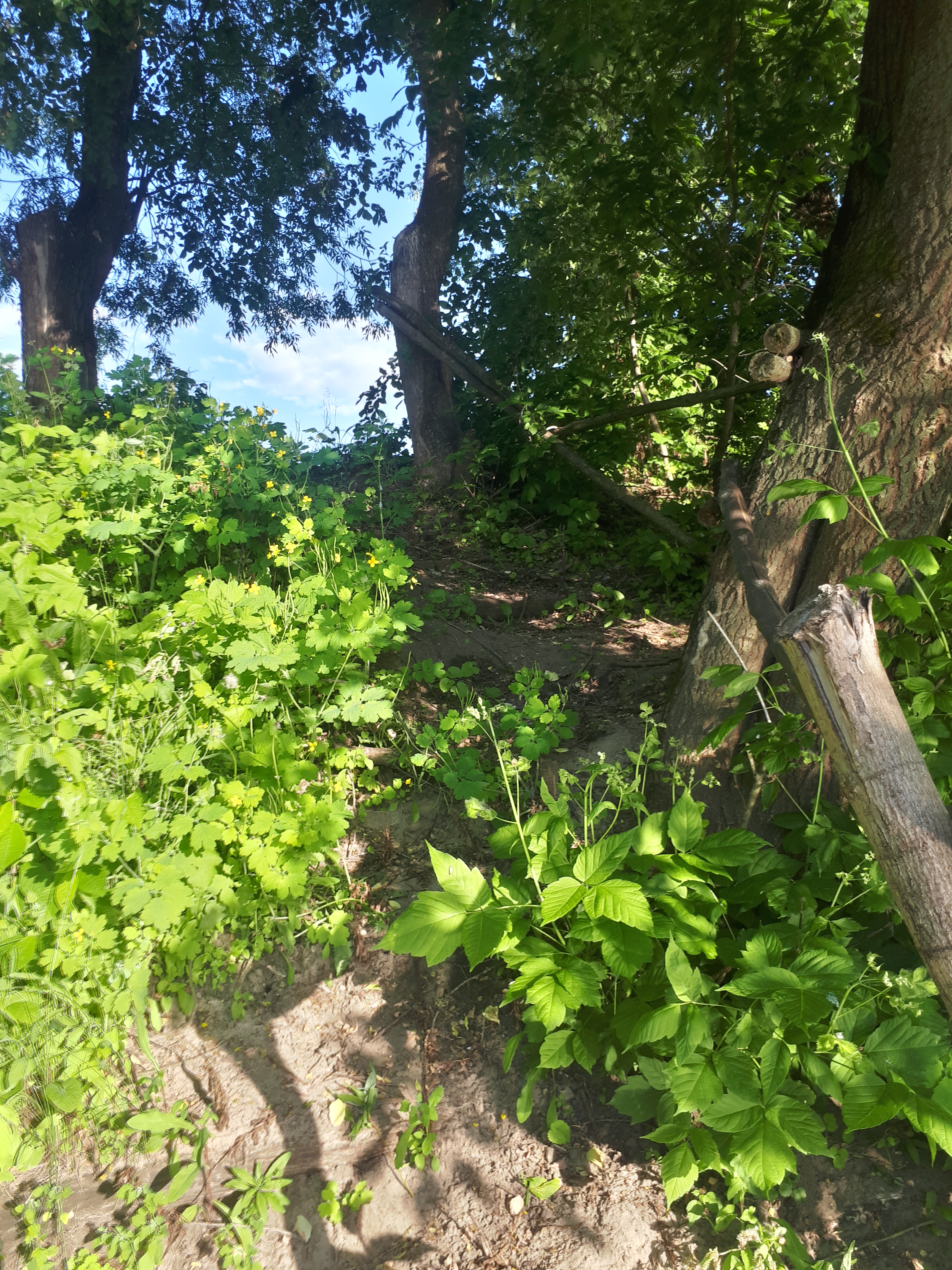 Фото ШангриЛа