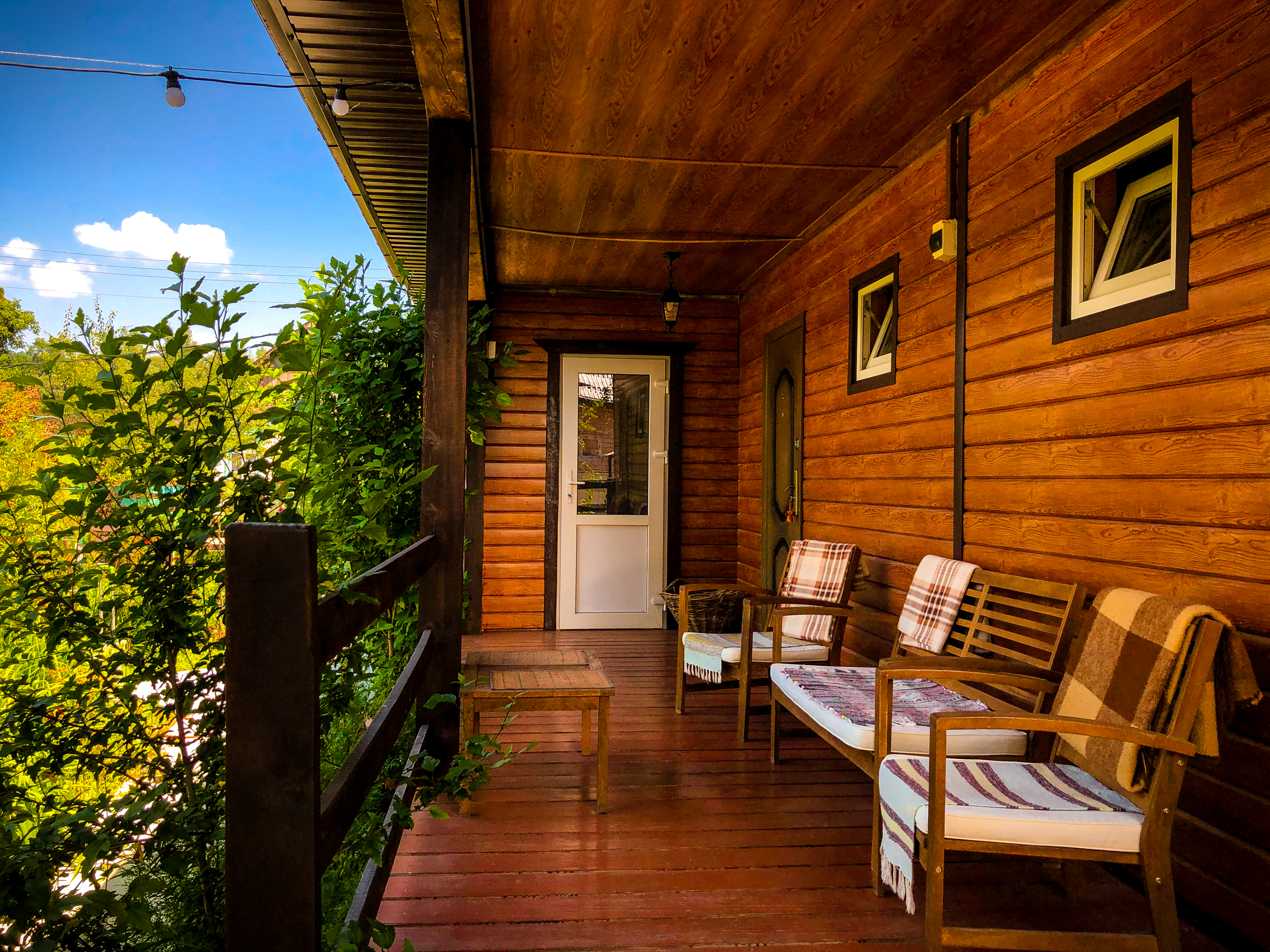 Фото Зелёный уголок