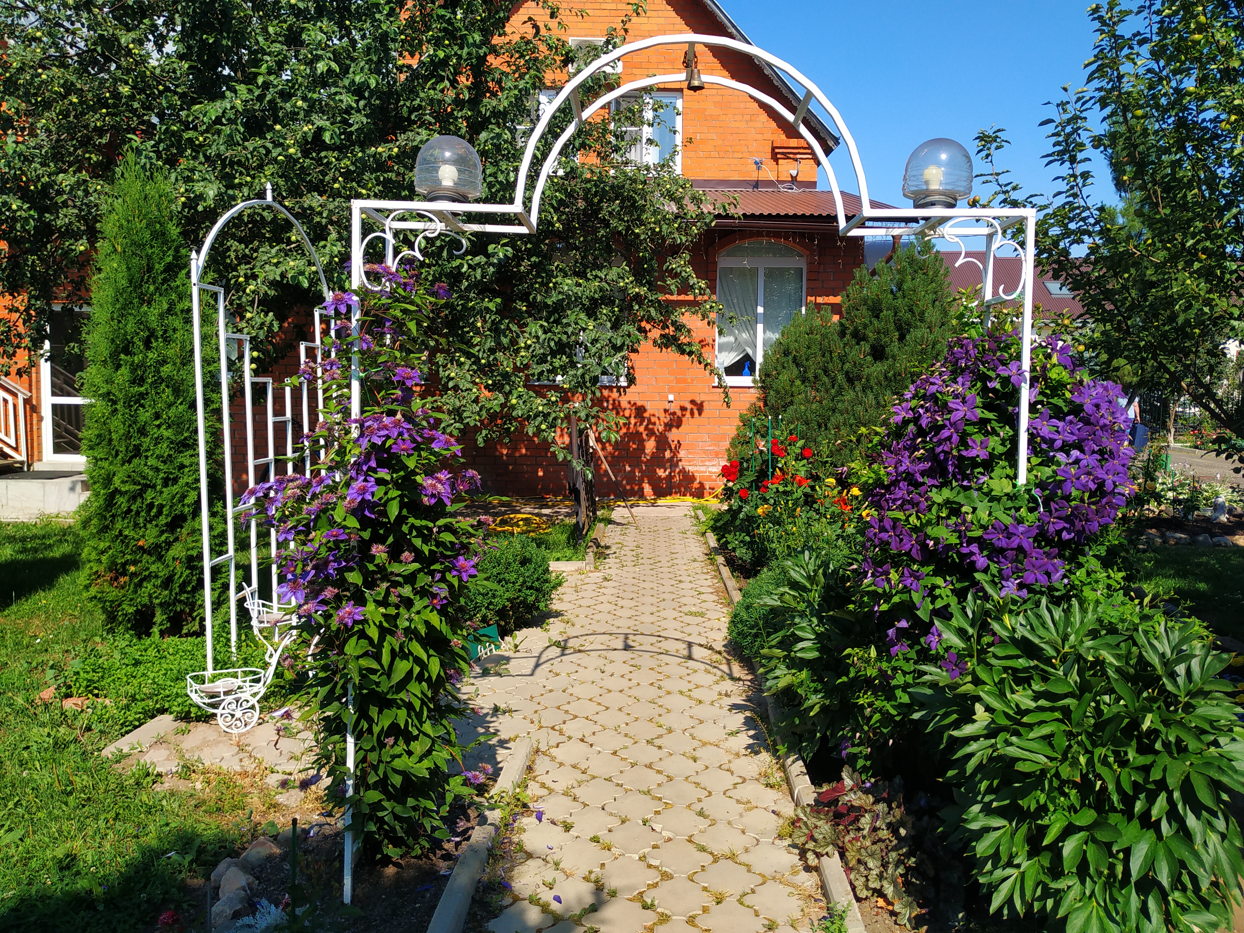 Фото Волшебный сад