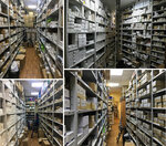 Poligon (Lva Tolstogo Street, 7), electrical products