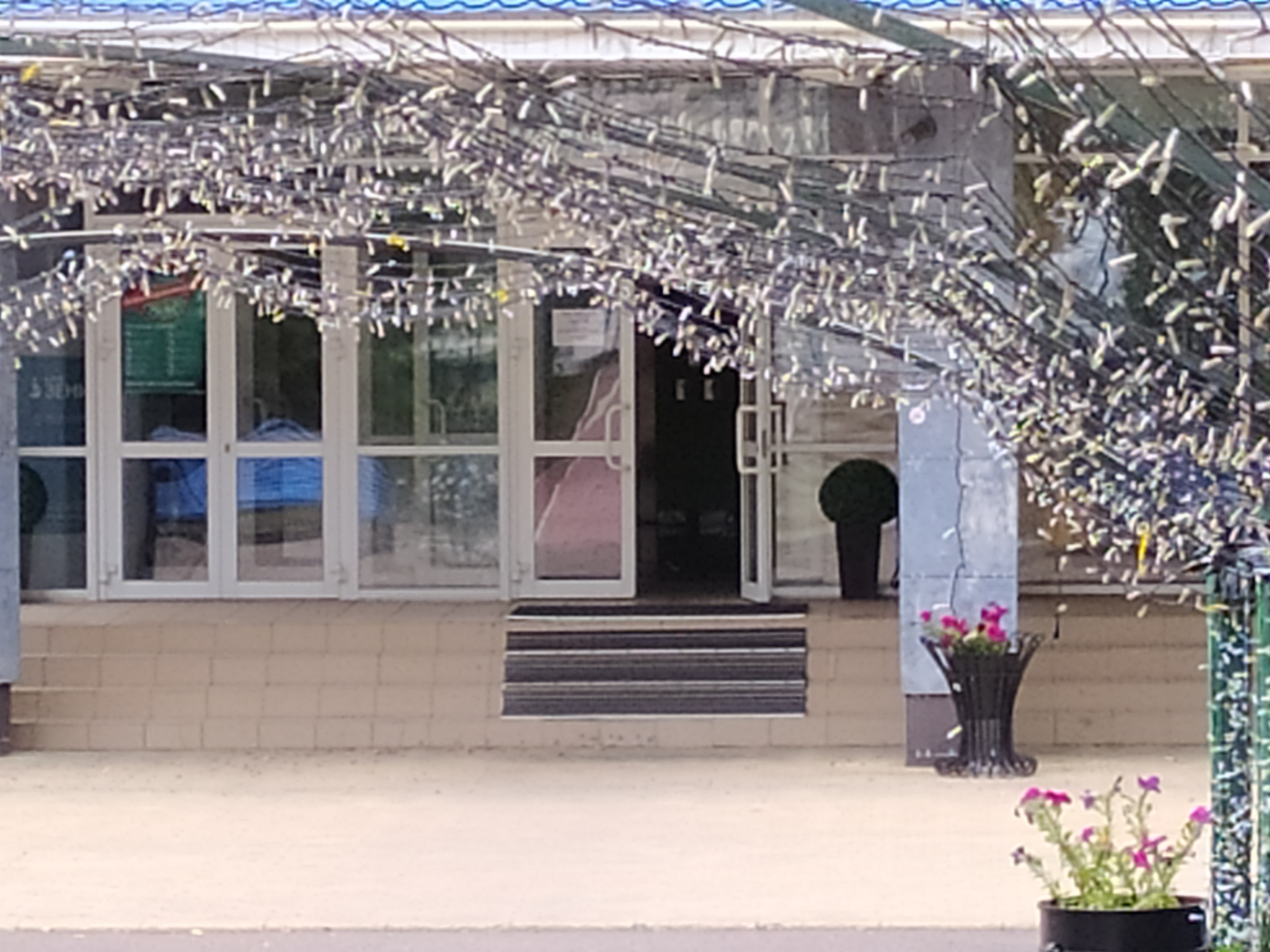 Фото Шифалы