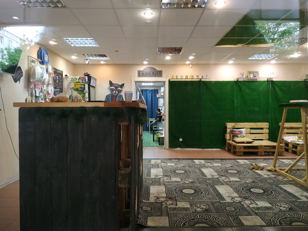 Anti-café Господин енот, Kaluga, photo