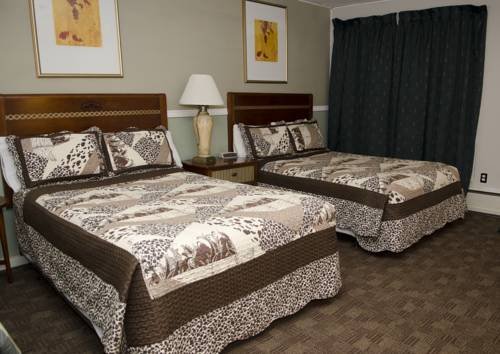 Фото Thriftlodge Cochrane South