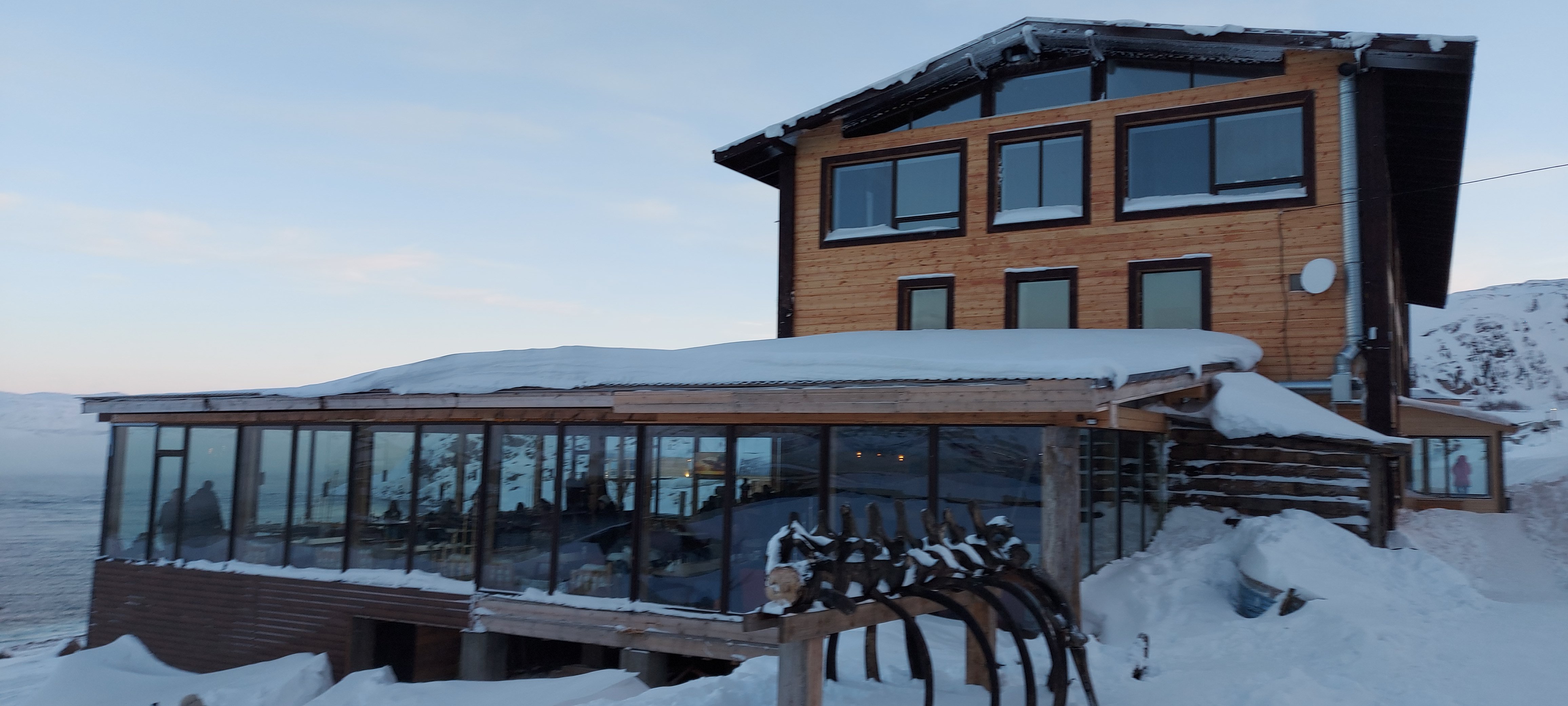 Фото Cedar Grass Териберка