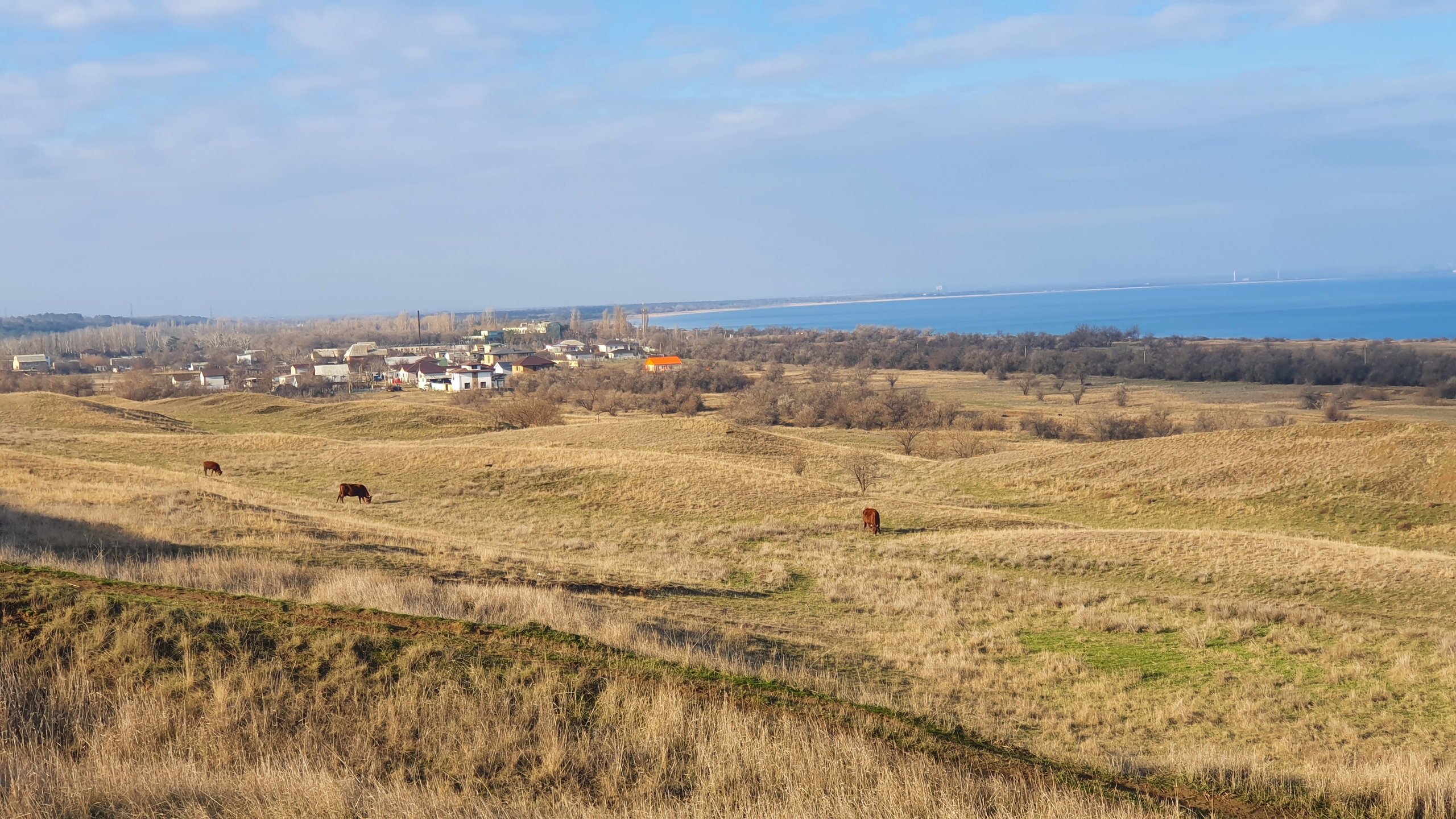 Фото Аврора