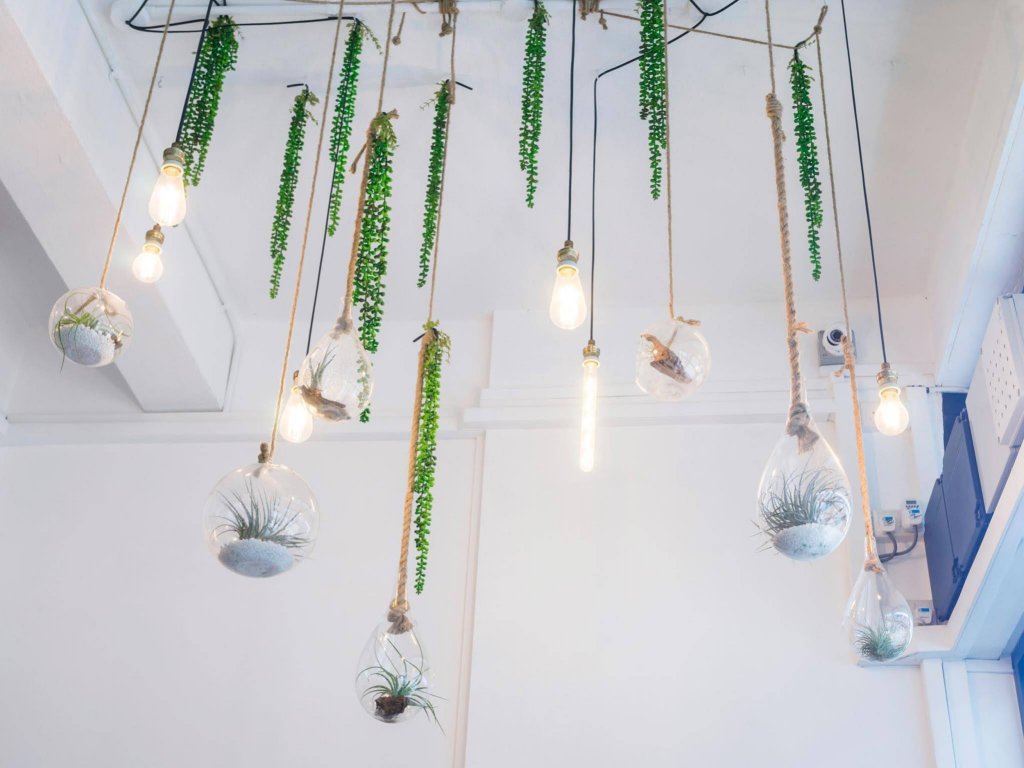 Фото Dream Lodge