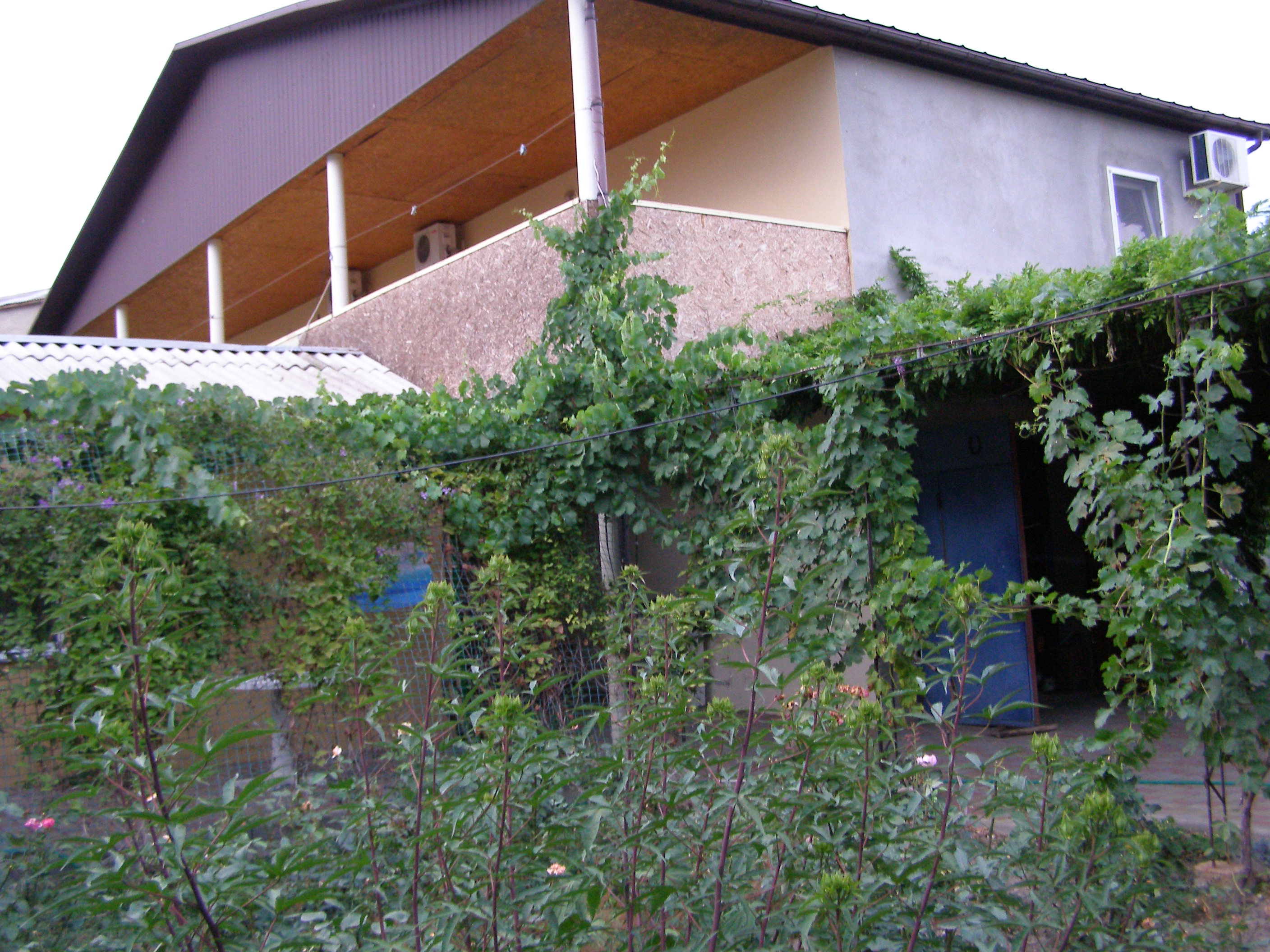 Фото Долина солнца