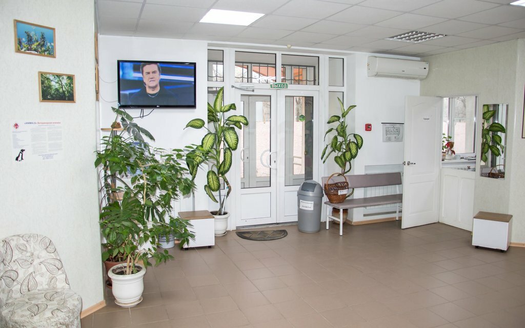Tıp merkezleri ve klinikler Tsentr allergologii i immunologii, Volgograd, foto