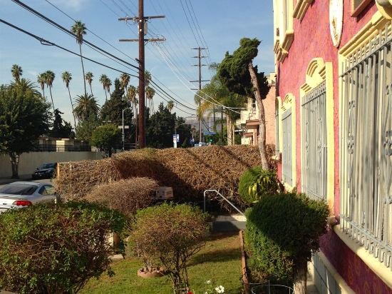 Фото 159796099401