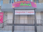 Modnitsa (ulitsa Tsvillinga, 21), bags and suitcases store