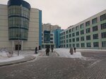 Secondary School № 10 (Kuryzhova Street, 7А), school