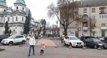 Central Studio (вулиця Кардинала Сліпого, 1) ، فندق