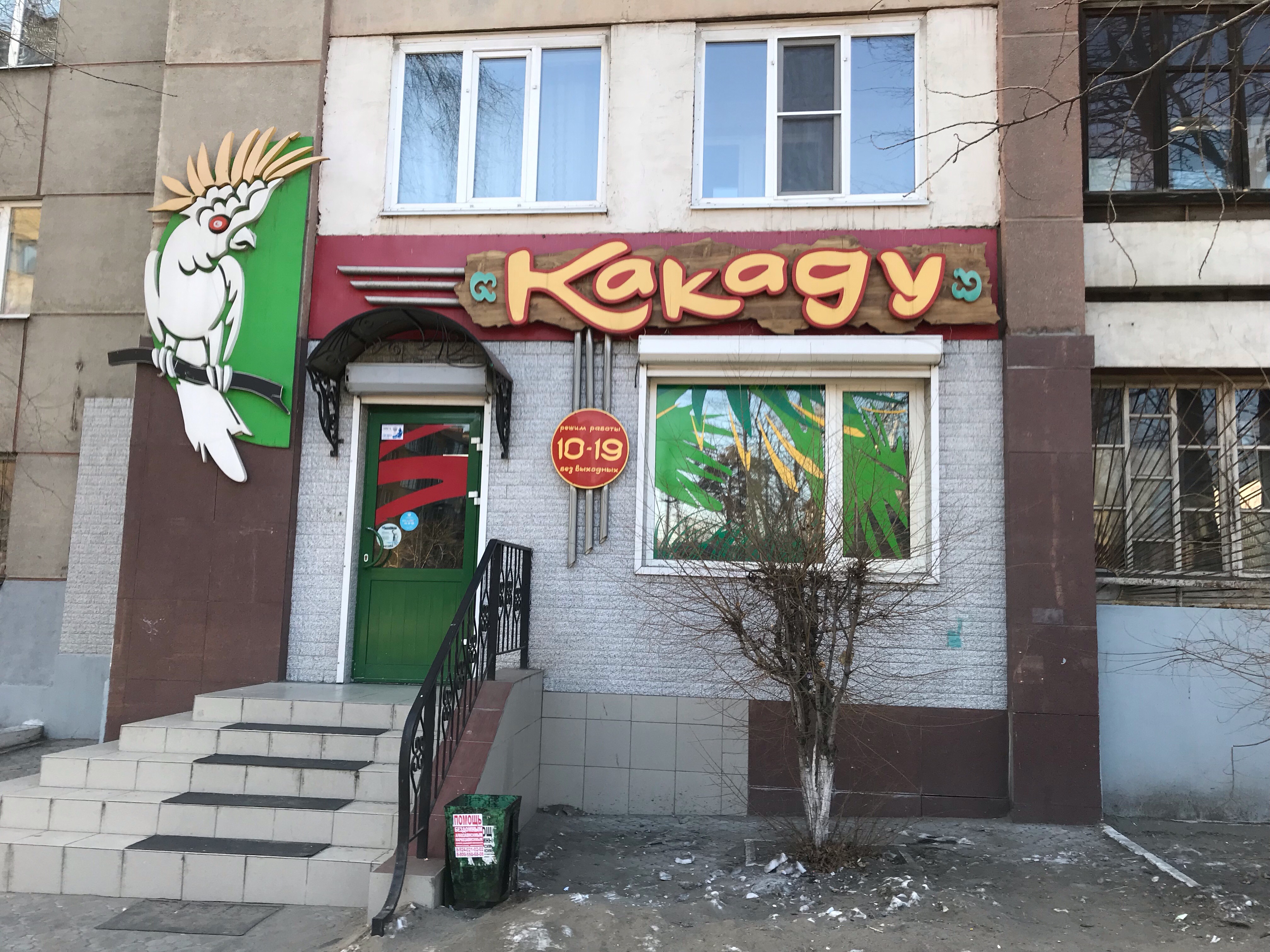 Какаду томск клуб