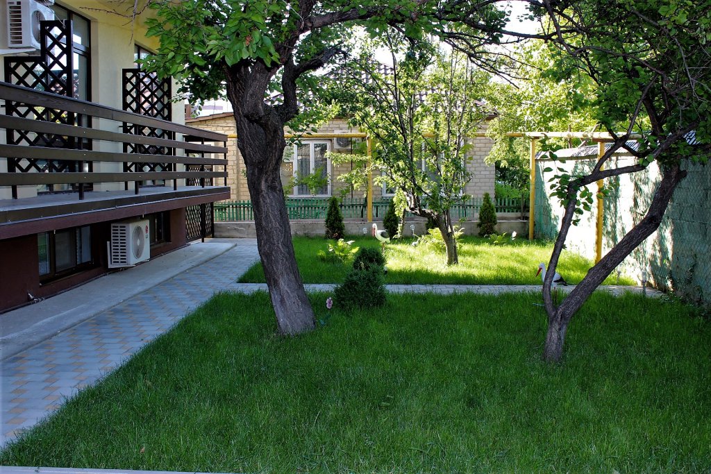 Фото Валекс