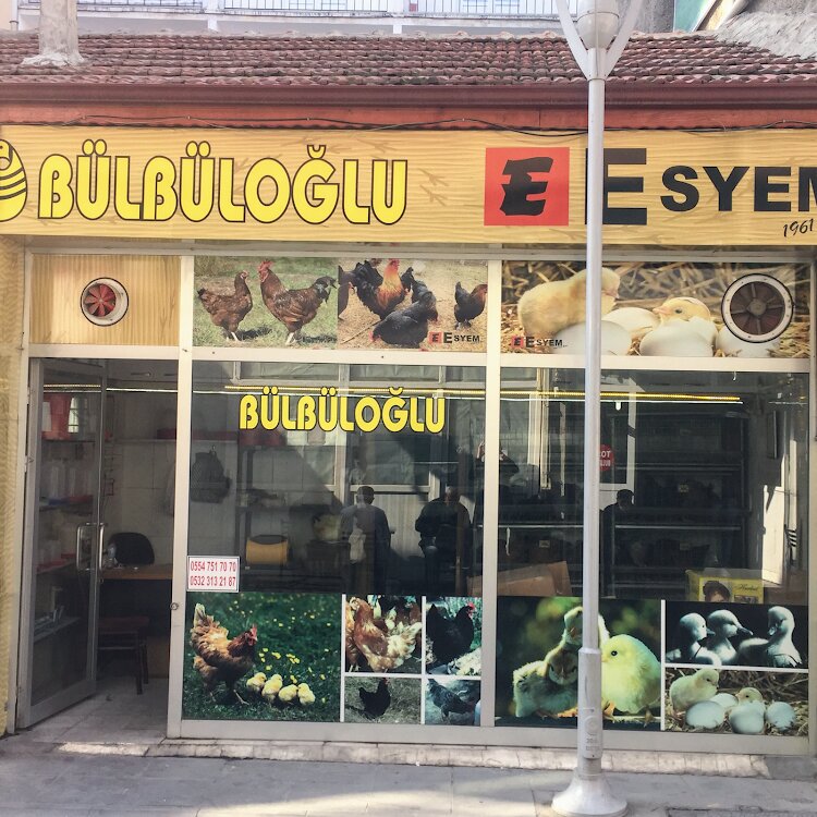 Egg and poultry meat Bulbuloglu Tavukculuk, Eskisehir, photo