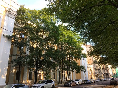 Saint-Petersburg State University, Faculty of Economics, faculty of the ...