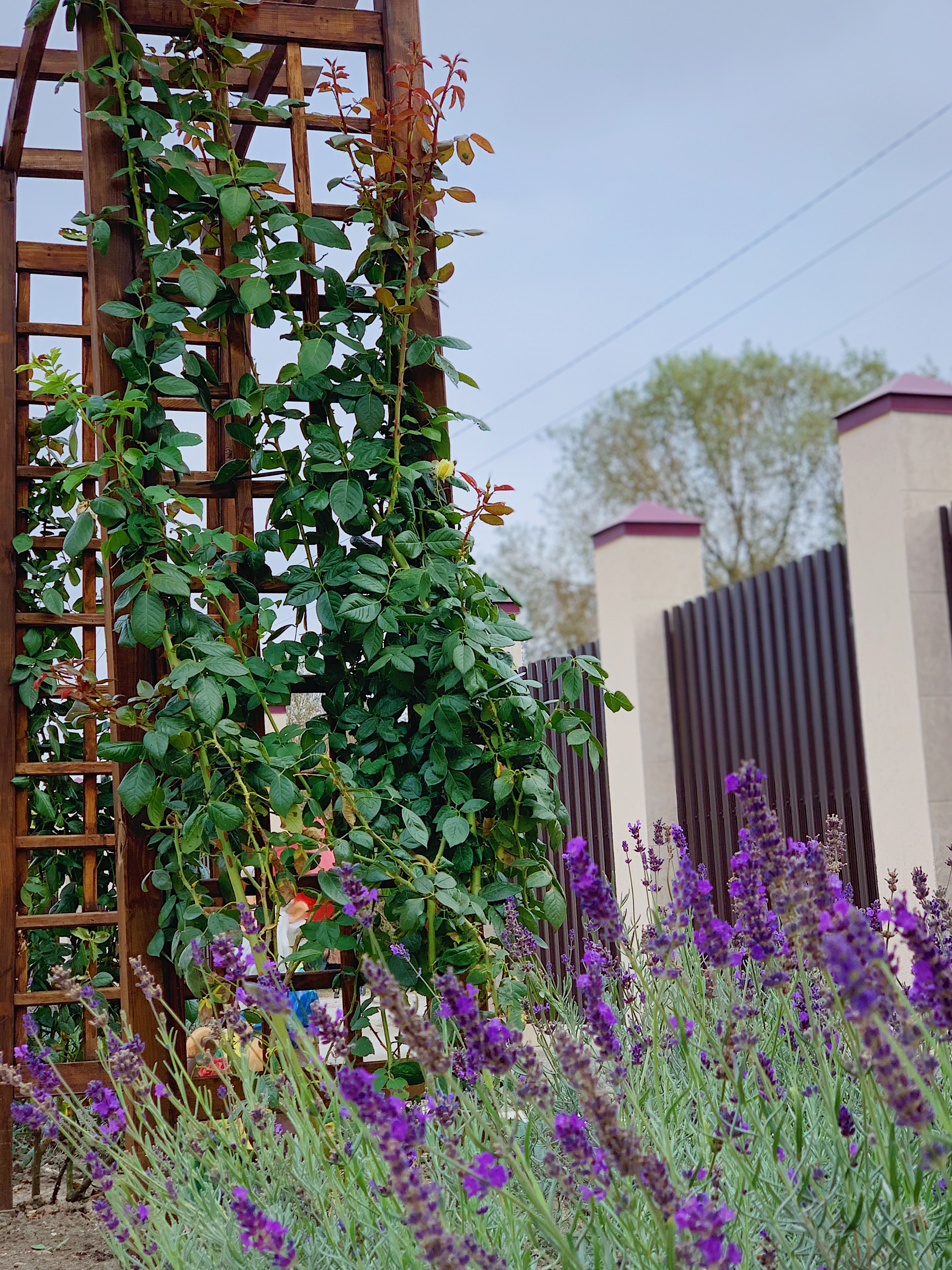 Фото Европа