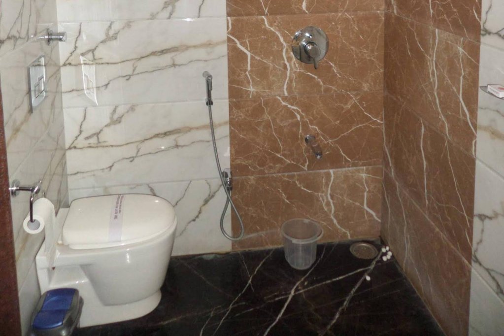 Фото Hotel Raj Palace