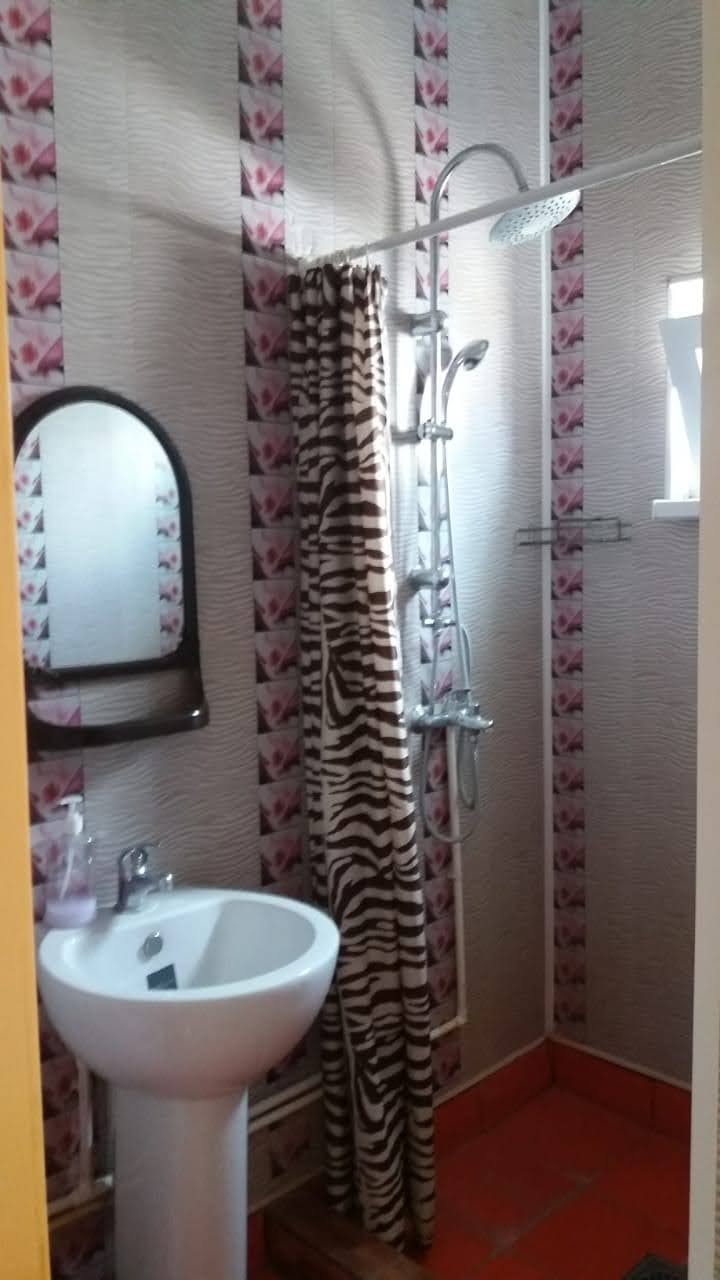 Фото Шамкир