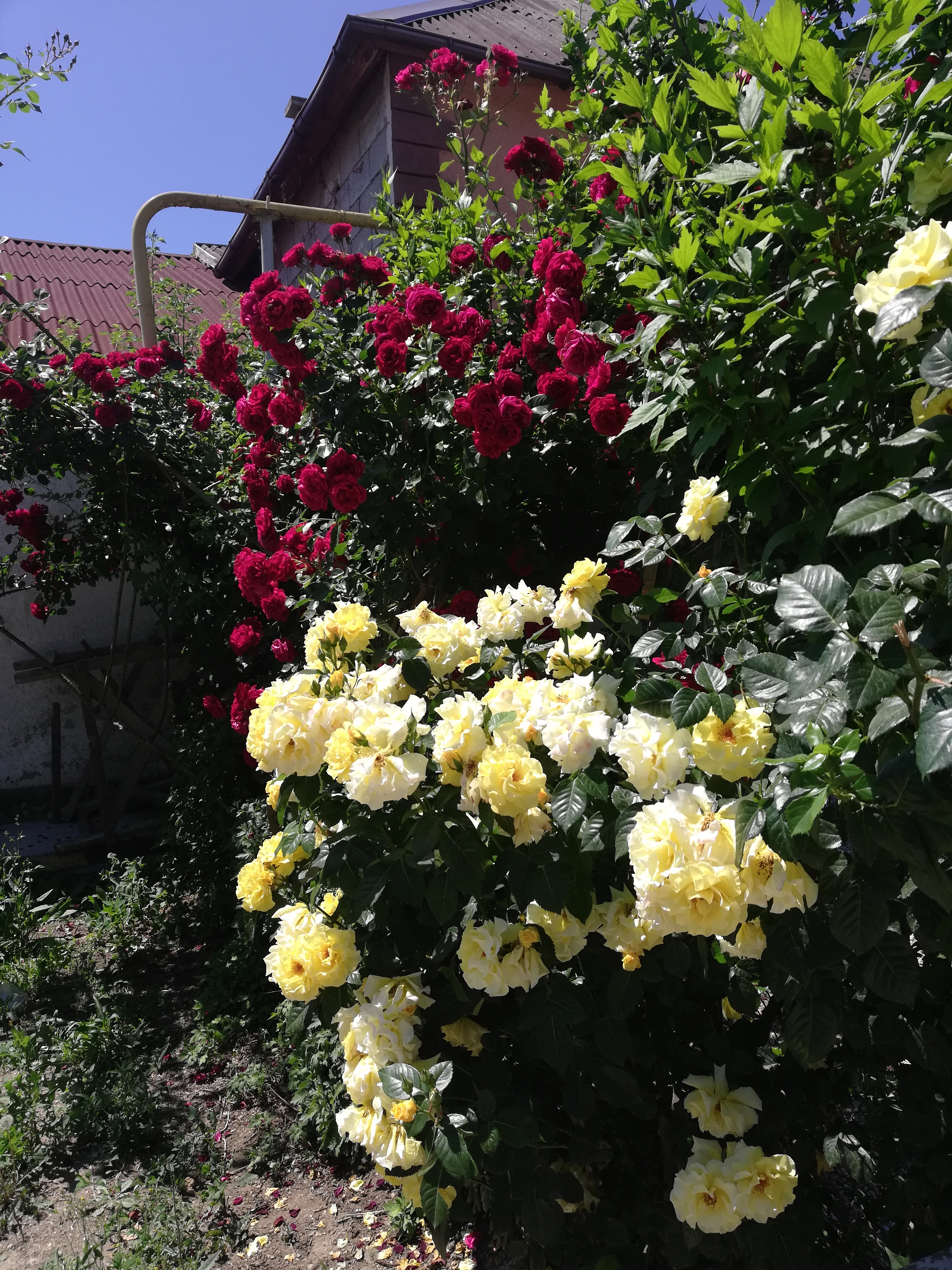 Фото Рассвет