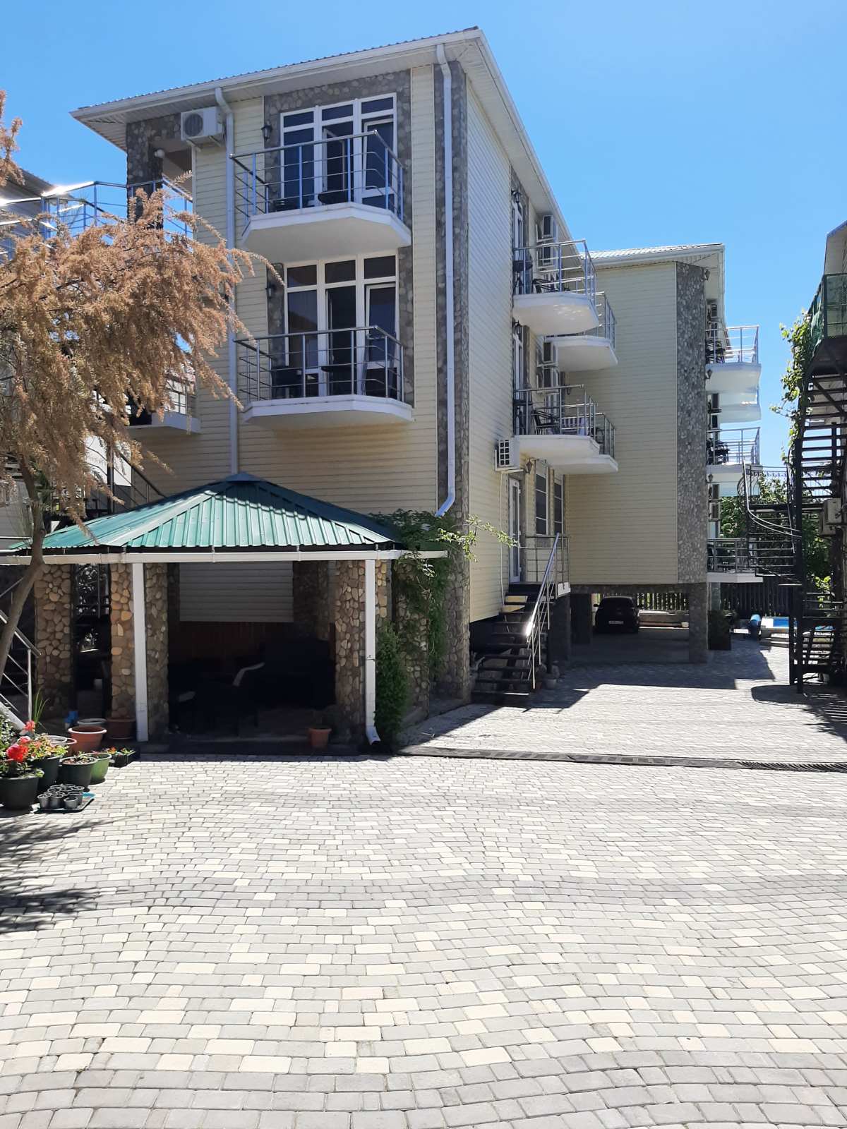 Фото Березы