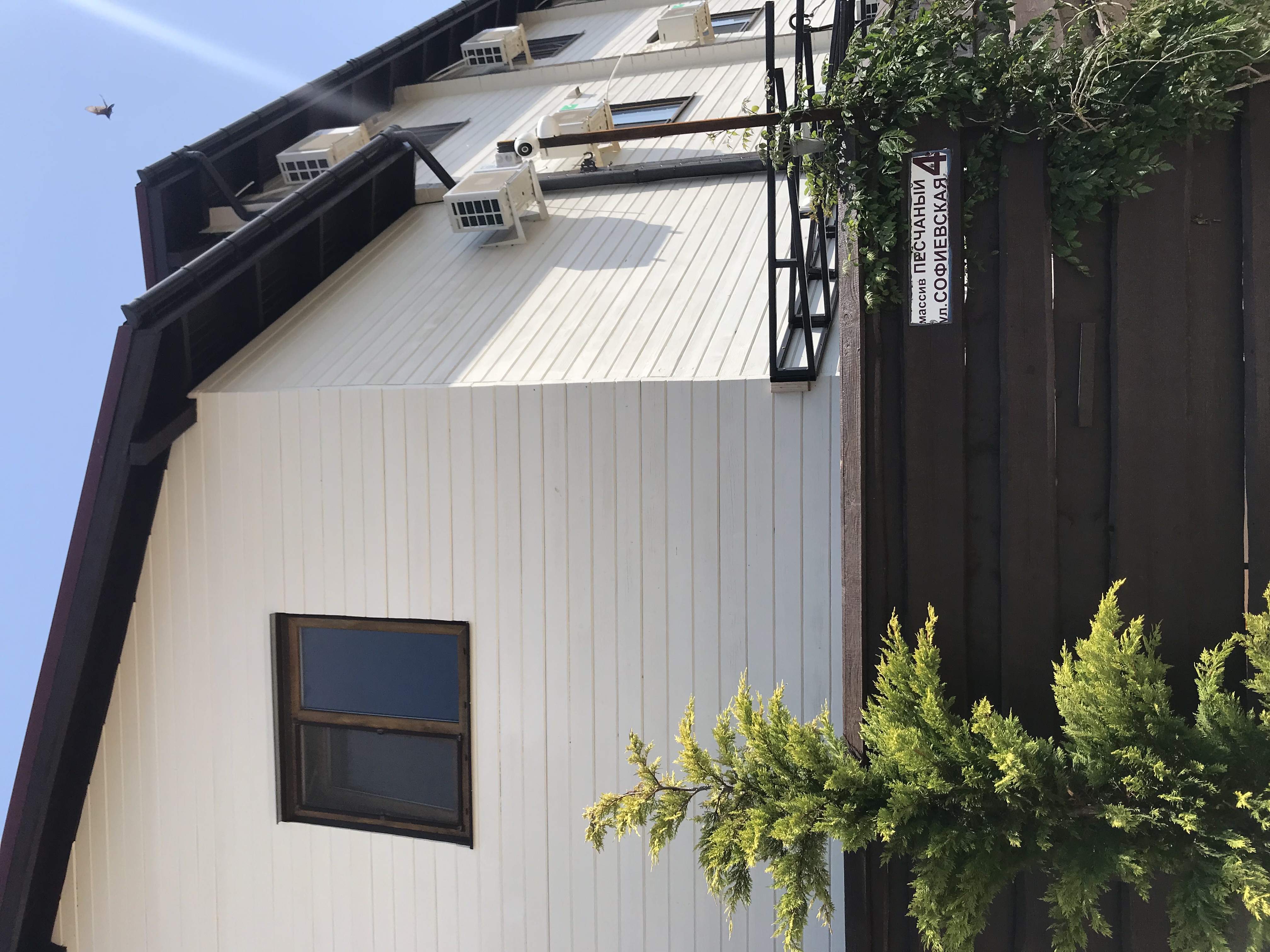 Фото Сказка