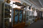 Экспозиция флоры и фауны Мирового океана и Крыма (улица Свердлова, 2), museo