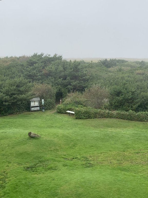 Фото The Grey Gull