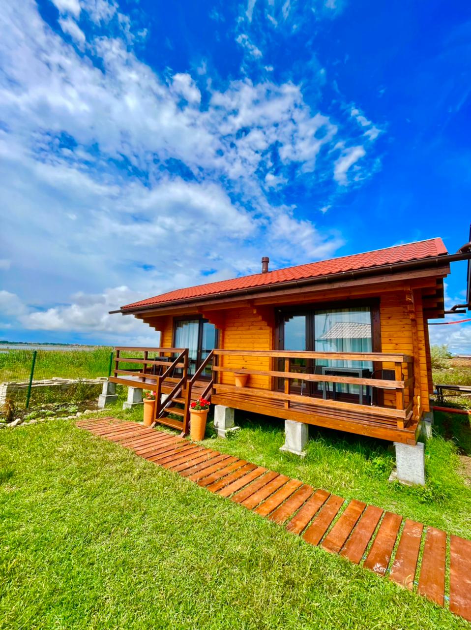 Фото Кактус