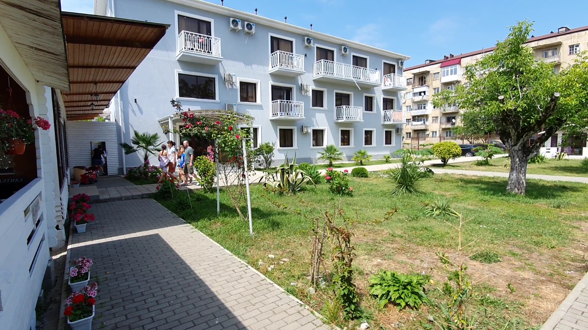 Фото Цитрус 1