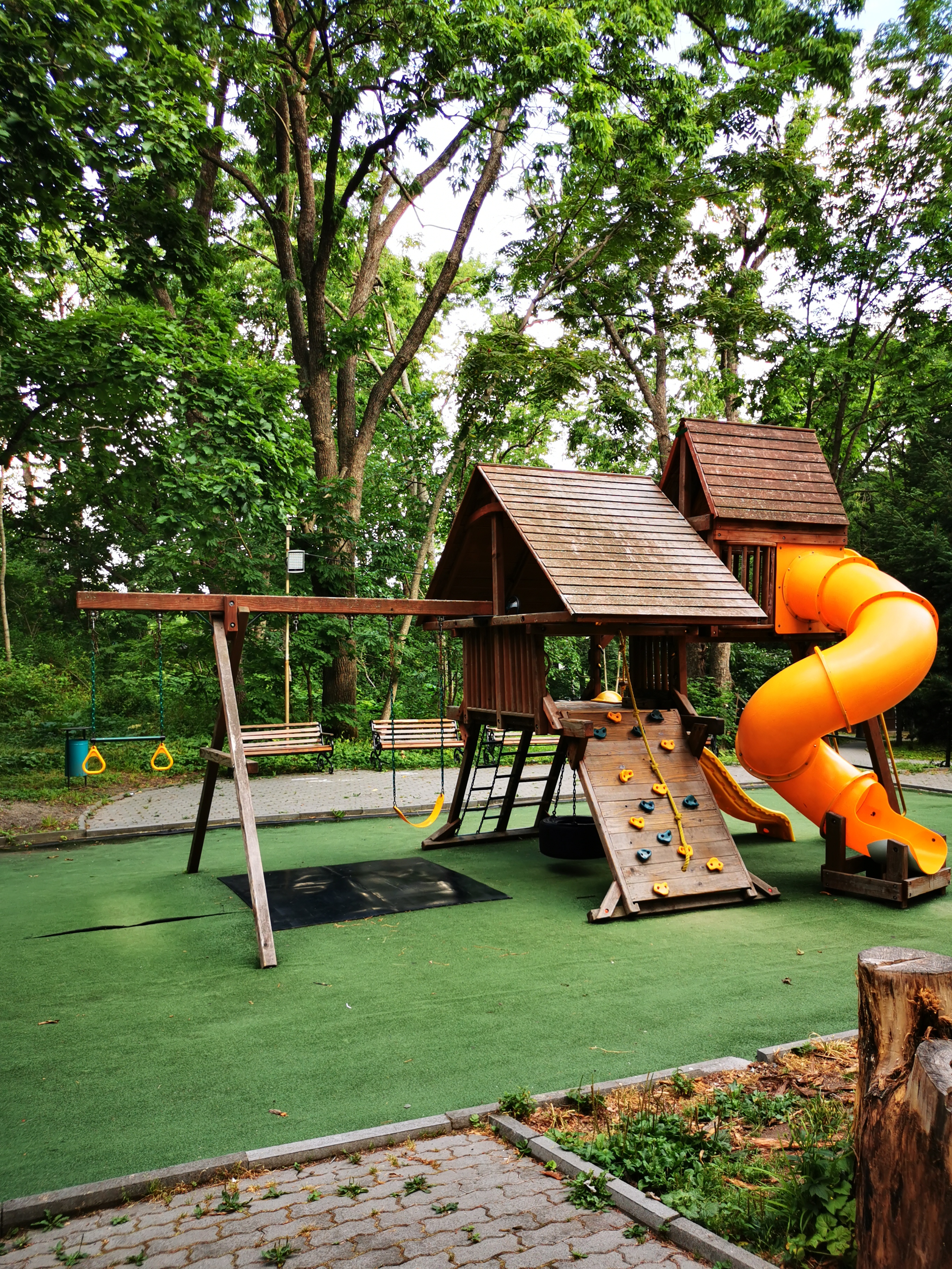 Фото Аврора 