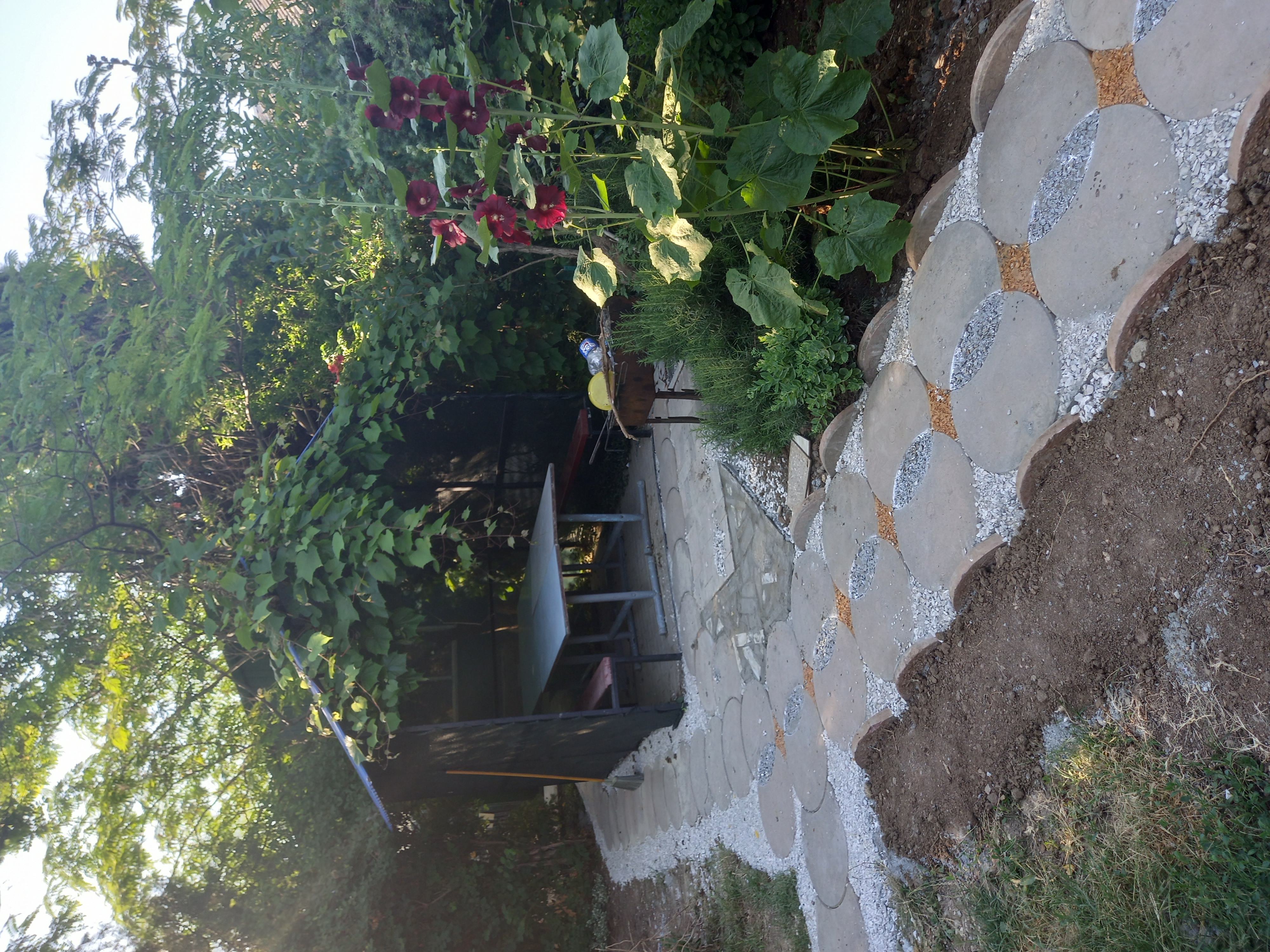 Фото Солнышко