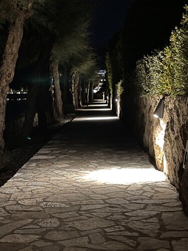 Внешний вид отеля Hotel Dubrovnik Palace в Дубровнике, фото 5