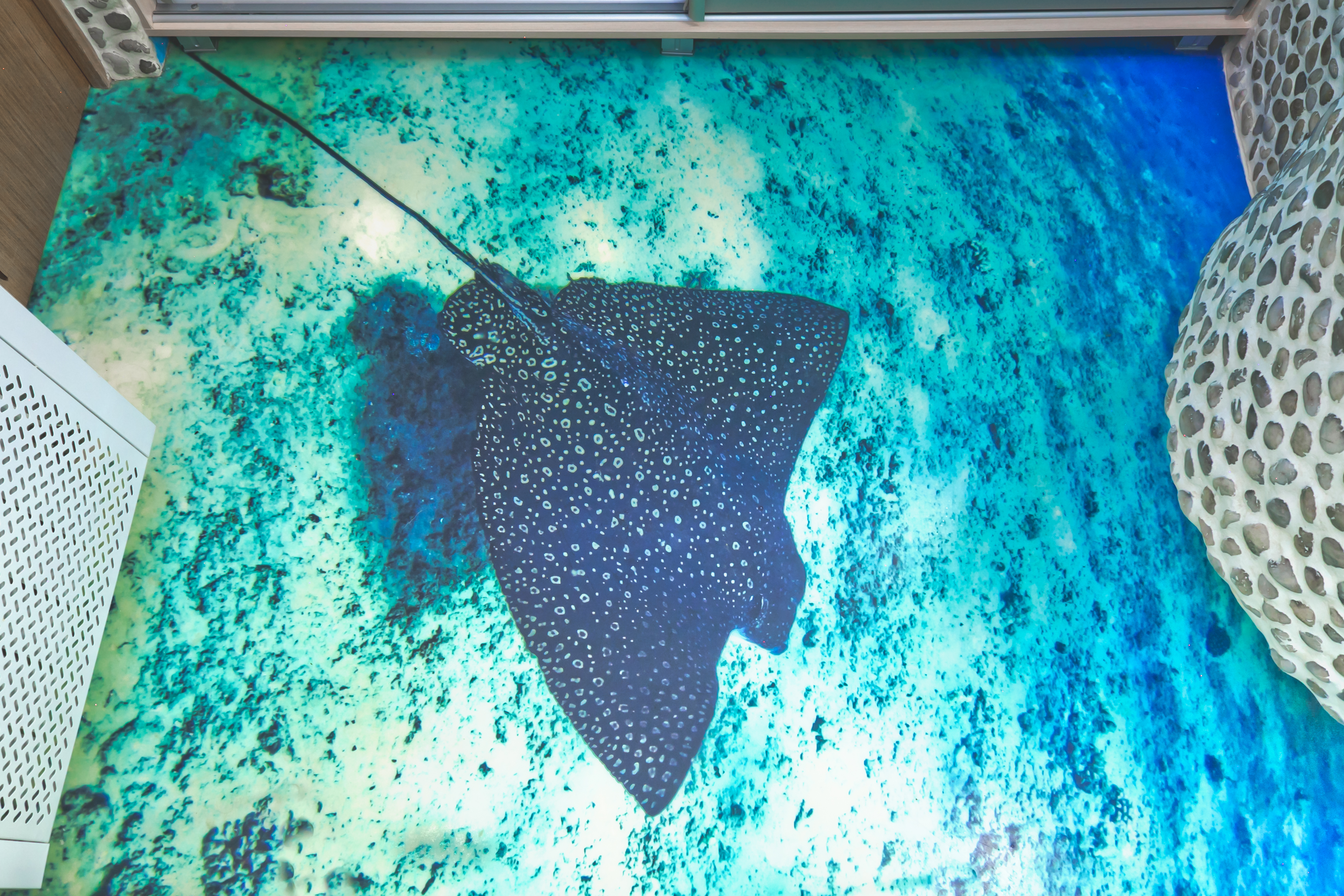 Фото Дом Ленивый Дельфин