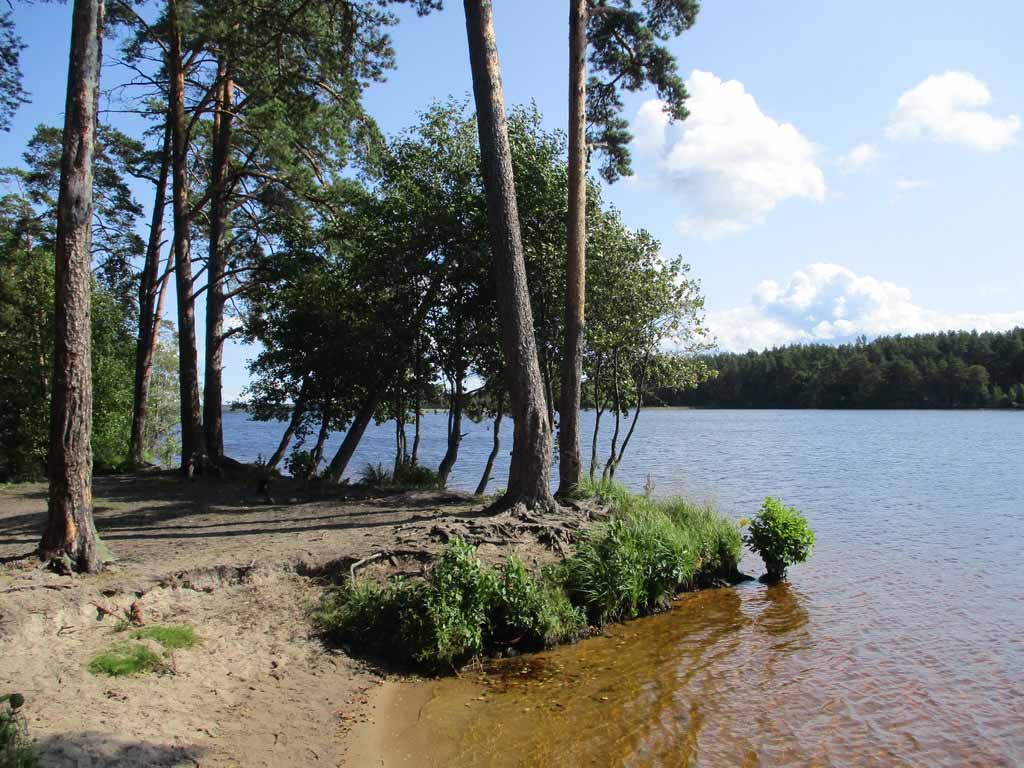 Фото Усадьба Заповедная