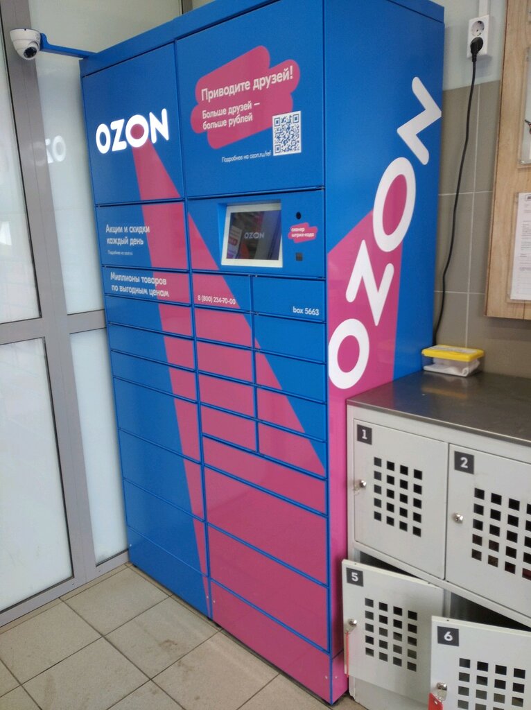 Parcel automat Ozon Box, Voronezh, photo