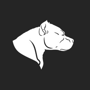 Security and alarm systems AMstaff, Kazan, photo