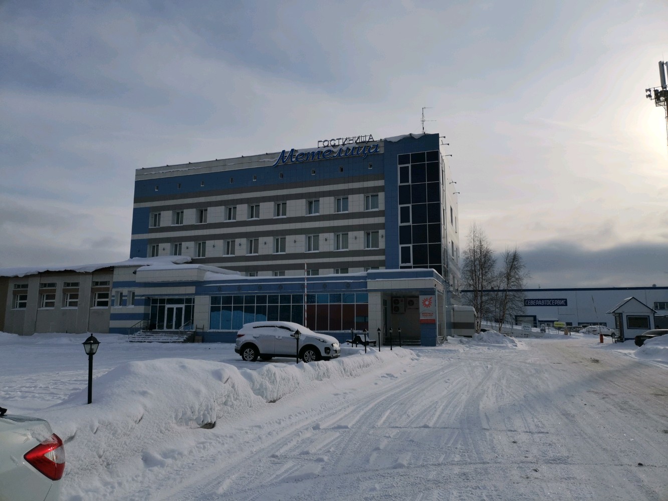 Фото Метелица