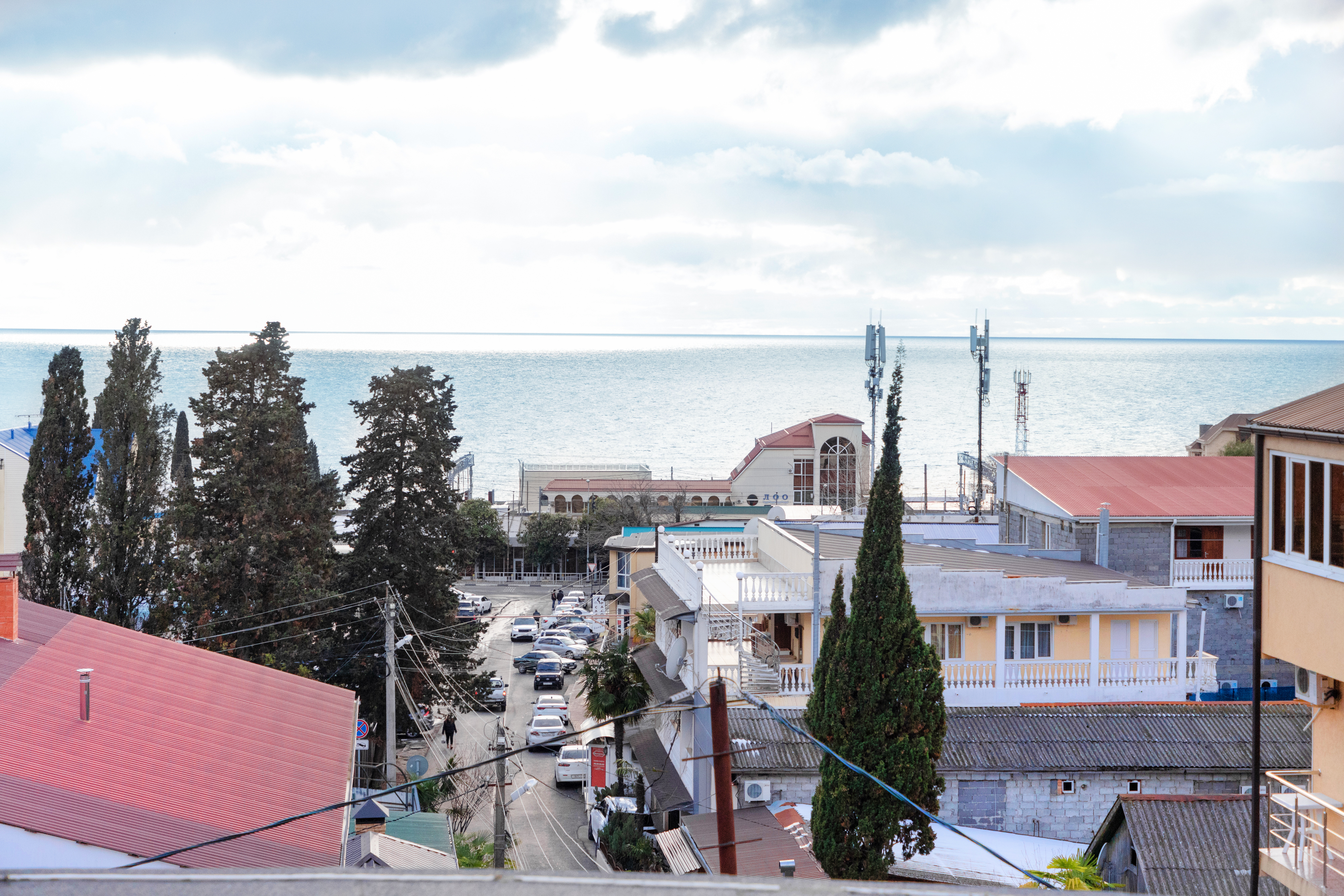 Фото ПовезЛоо