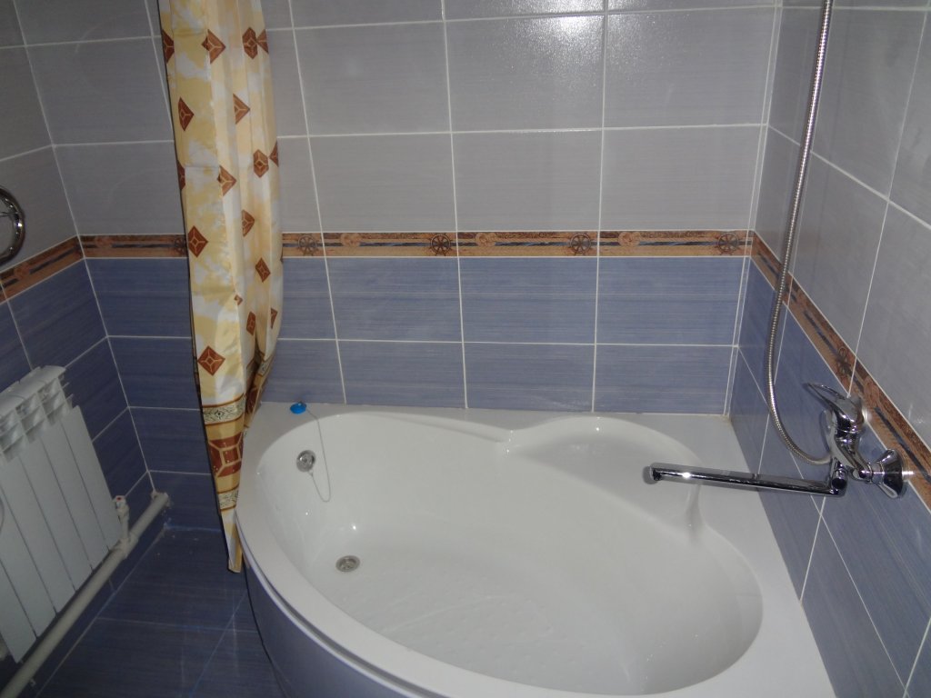 Фото Сорока