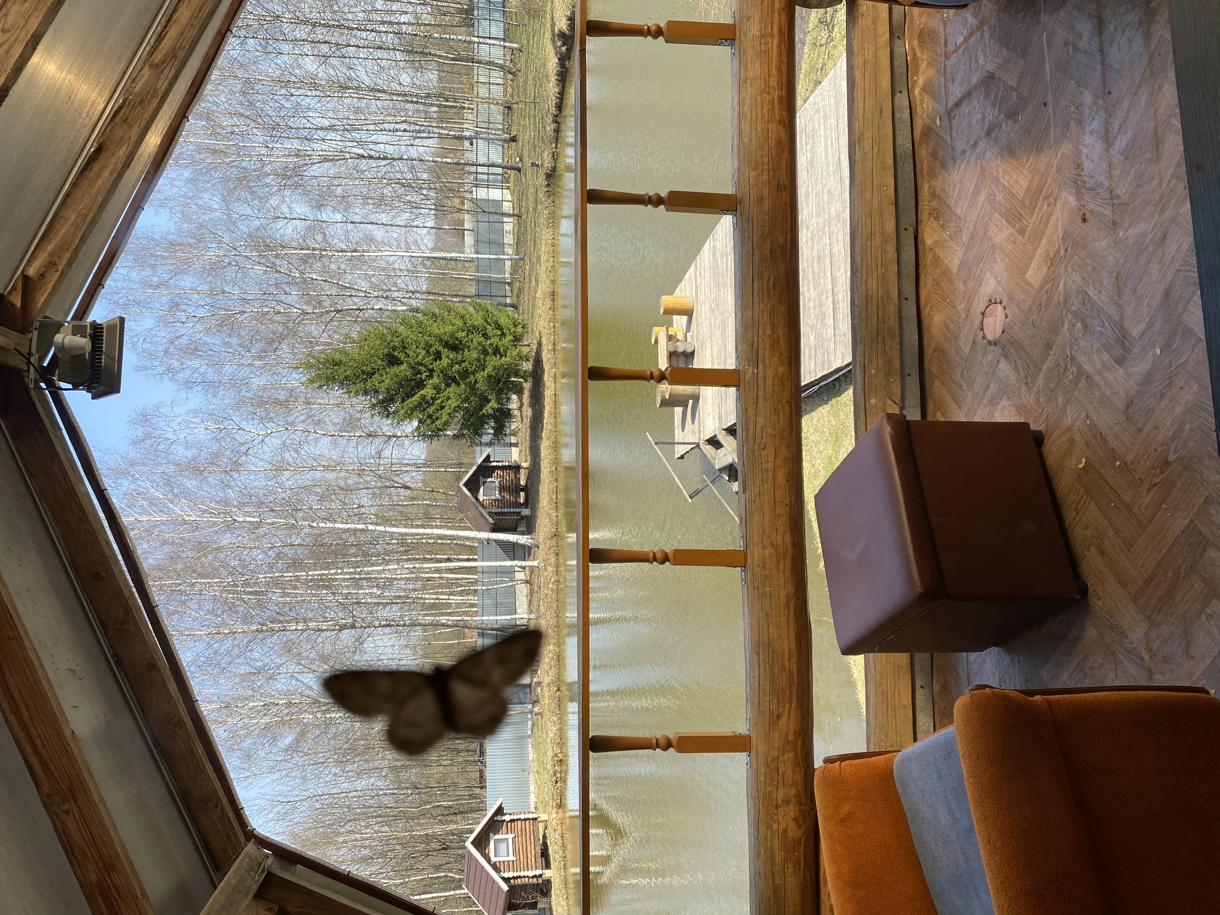 Фото Забава67