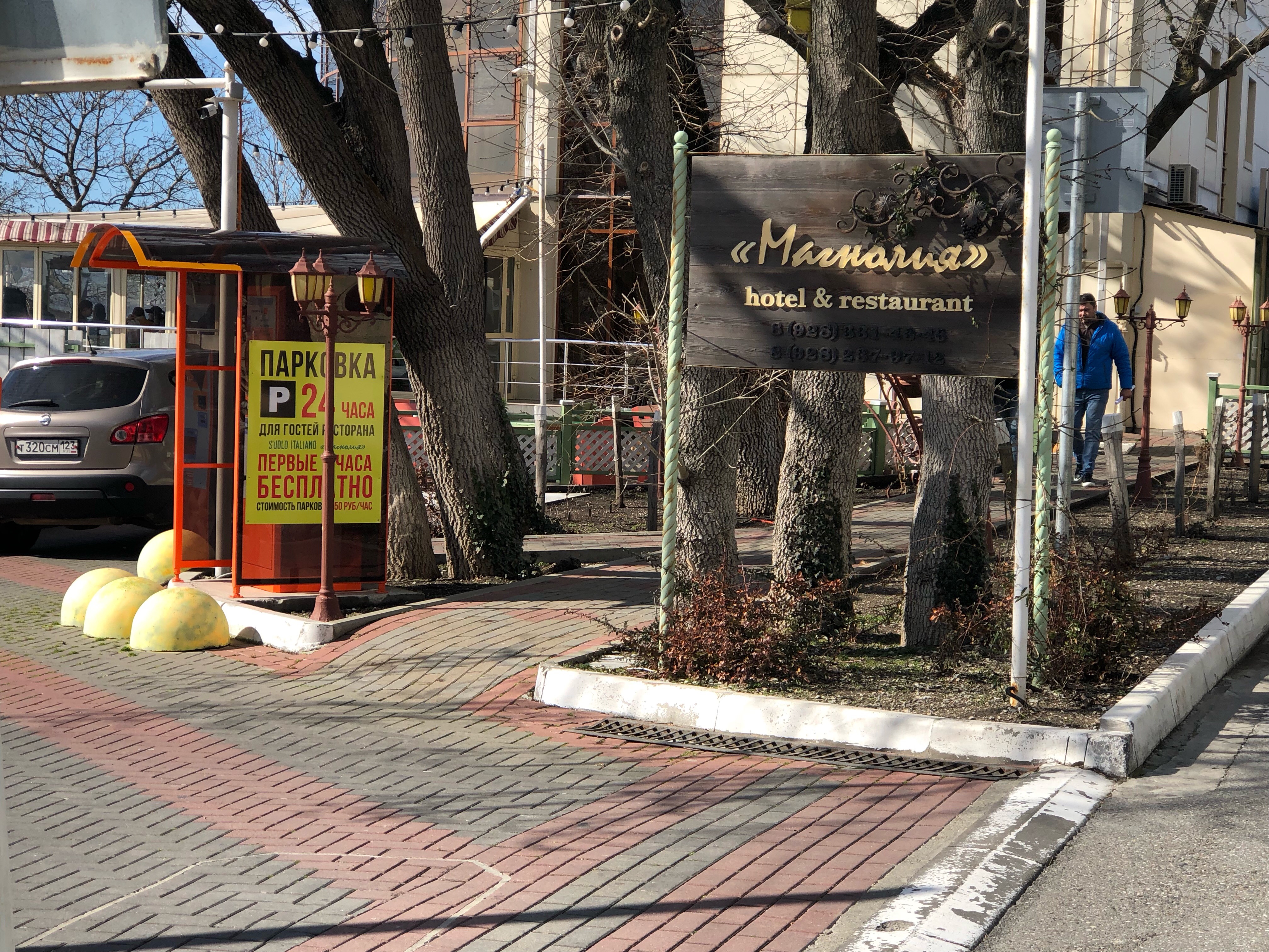 Фото Магнолия