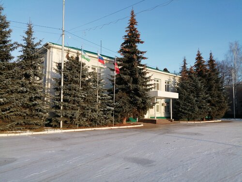 Администрация Администрация Буздякского района, Республика Башкортостан, фото