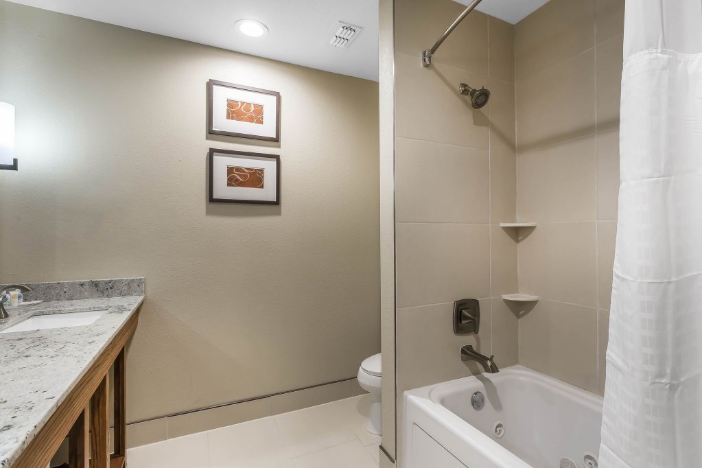 Фото Comfort Suites University